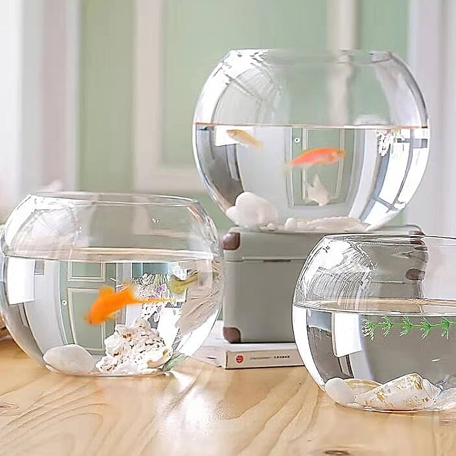 テラグラス6030　水槽　テラリウム　ガラス製　植物　アクア　メダカ　貴重　新品 Amazon | クリエイティブなデスクトップガラス水槽、金魚鉢 水槽